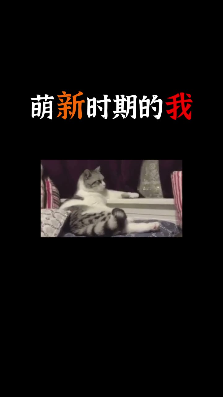 一拳超人 视频